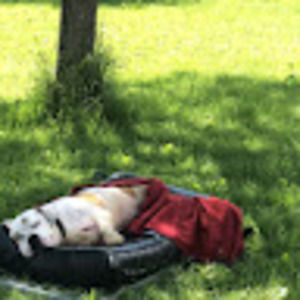 Meet your Posher, Kim